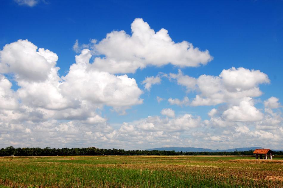 a beautiful landscape of a field with clouds