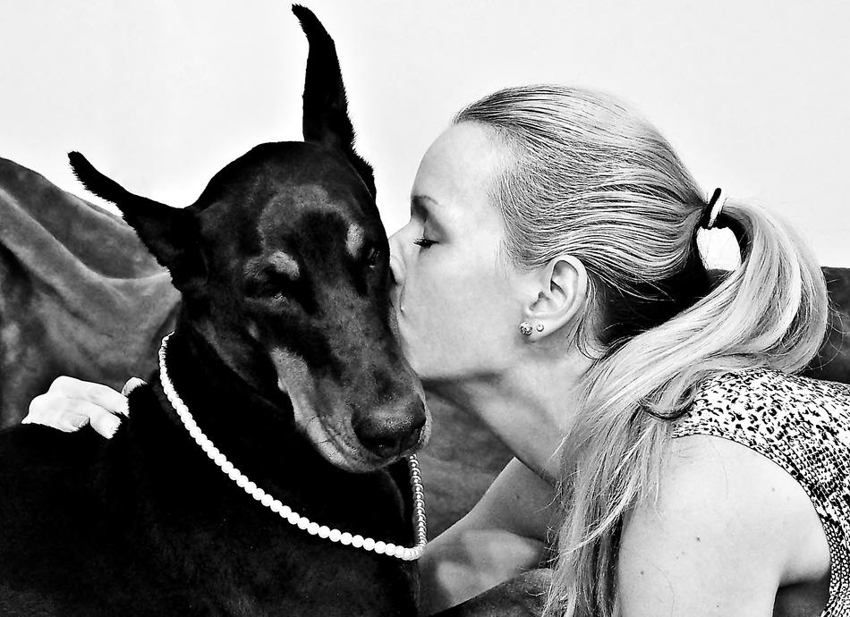 Black White Kisses Doberman Blonde