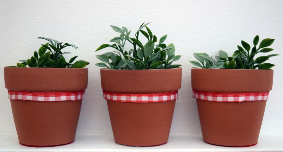 Plants Synthetic Stoneware Red