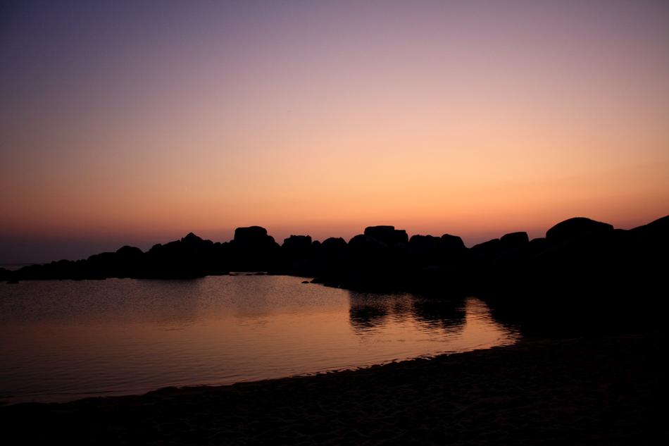 tree silhouettes of the island