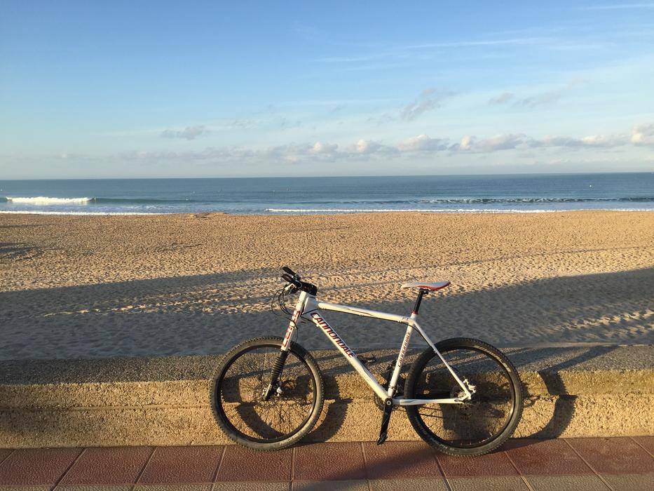 Bicycle Sea