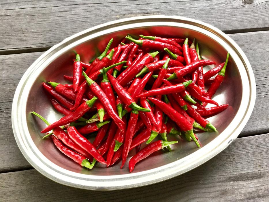 Cayenne Pepper Claw Of Hawk