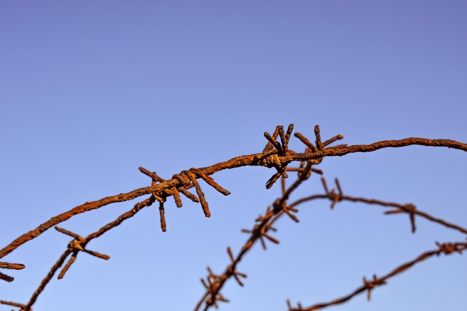 Wire Rusty Fence