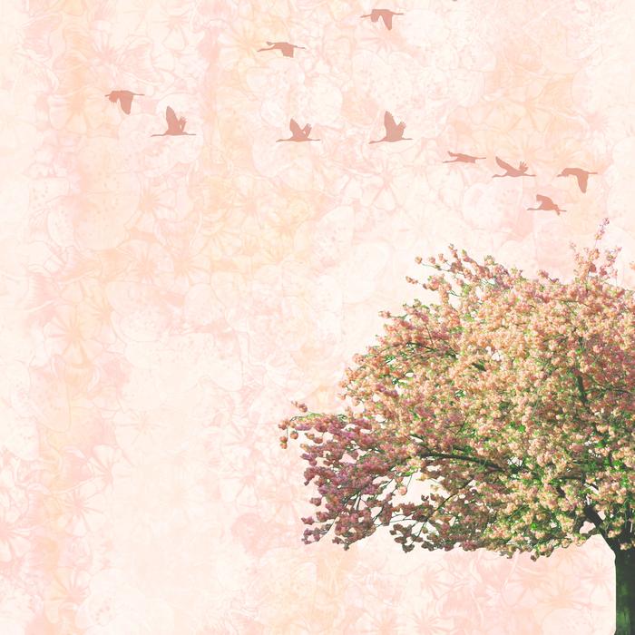 Background Tree Birds and pink sky