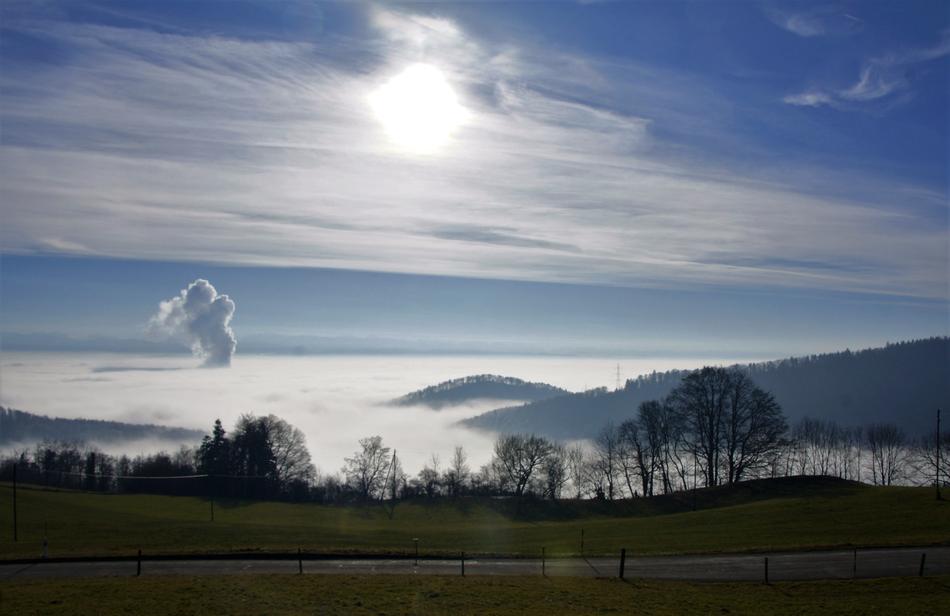 Fog Winter Jura