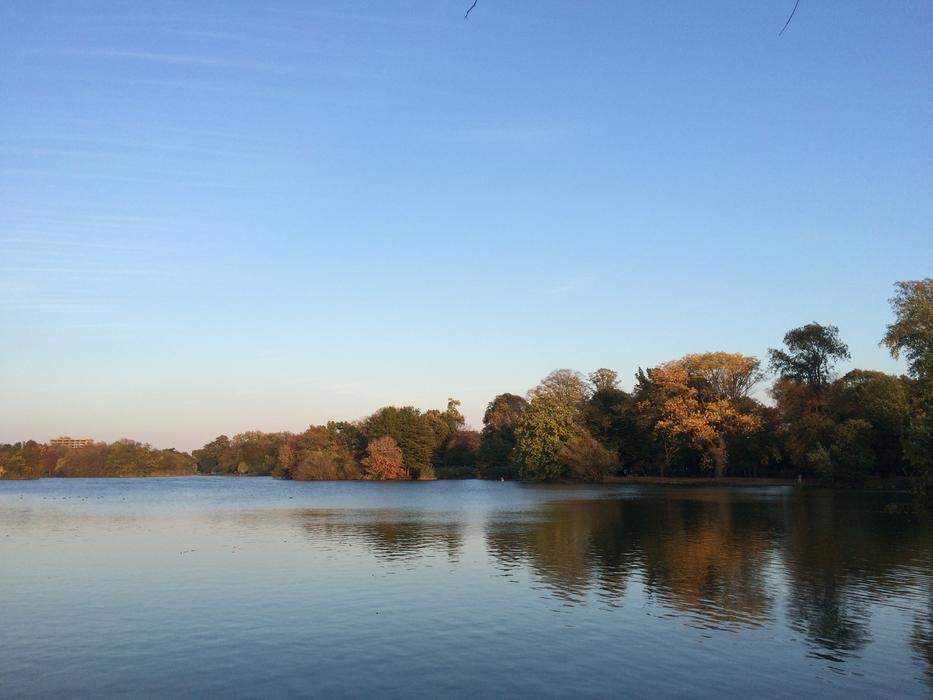 beautiful lake by the autumn forest