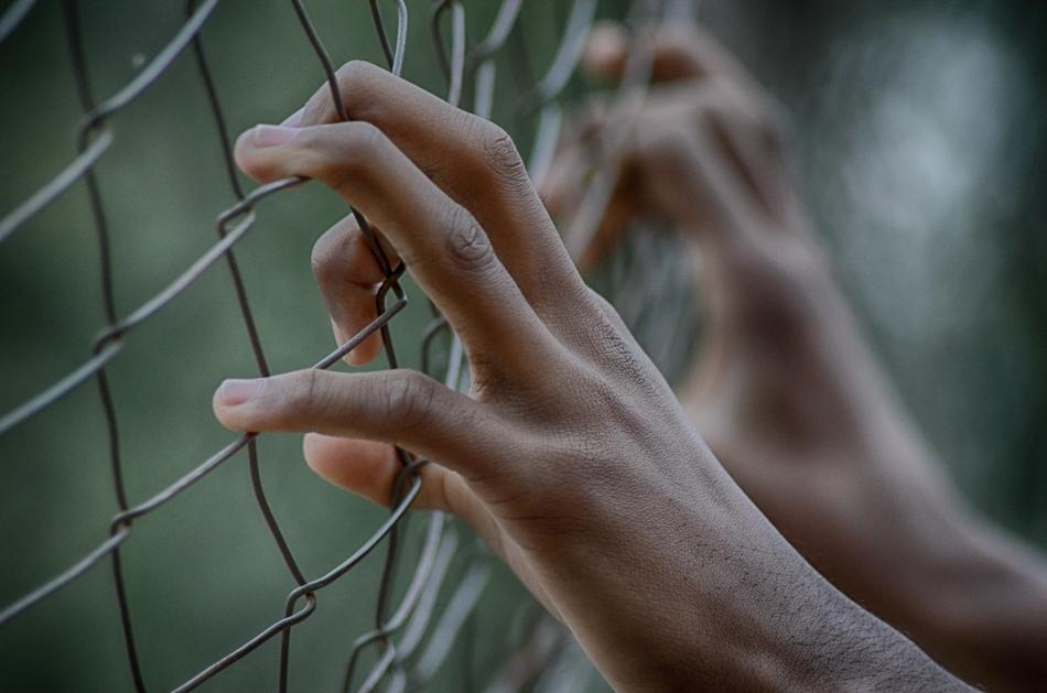 Fence Freedom Prison