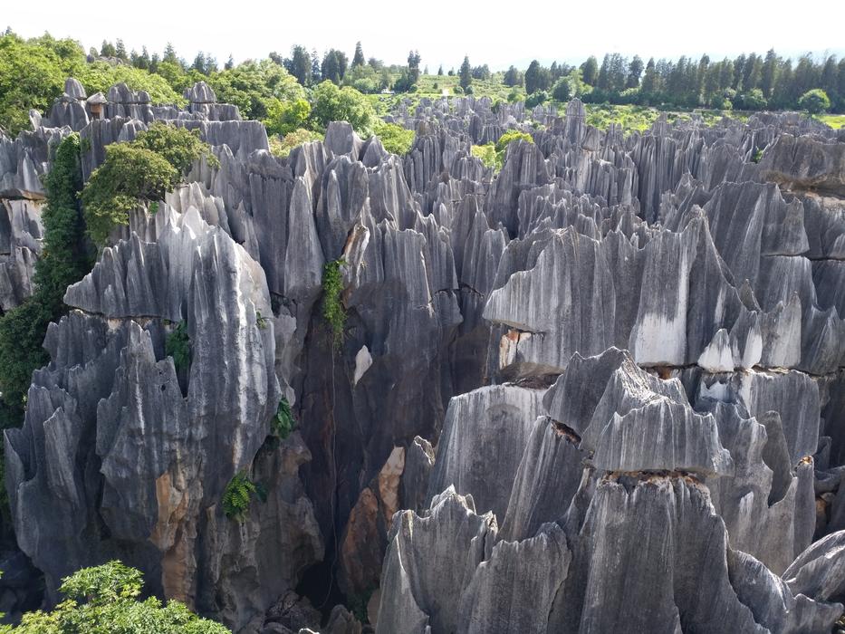 Stone Forest Yunnan Province