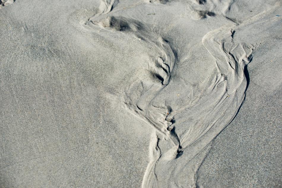 Tracks In The Sand Beach