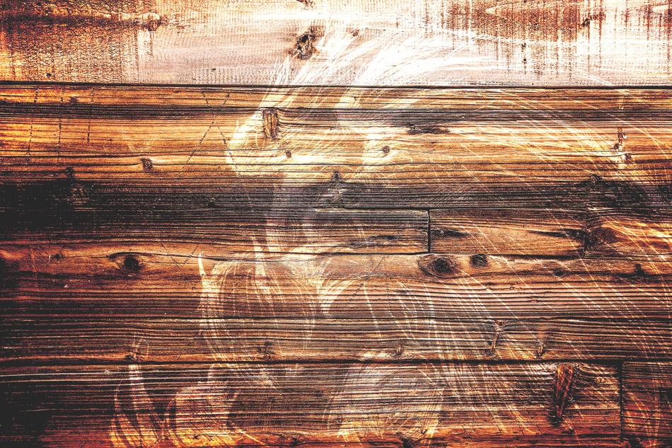 Angels Fallen