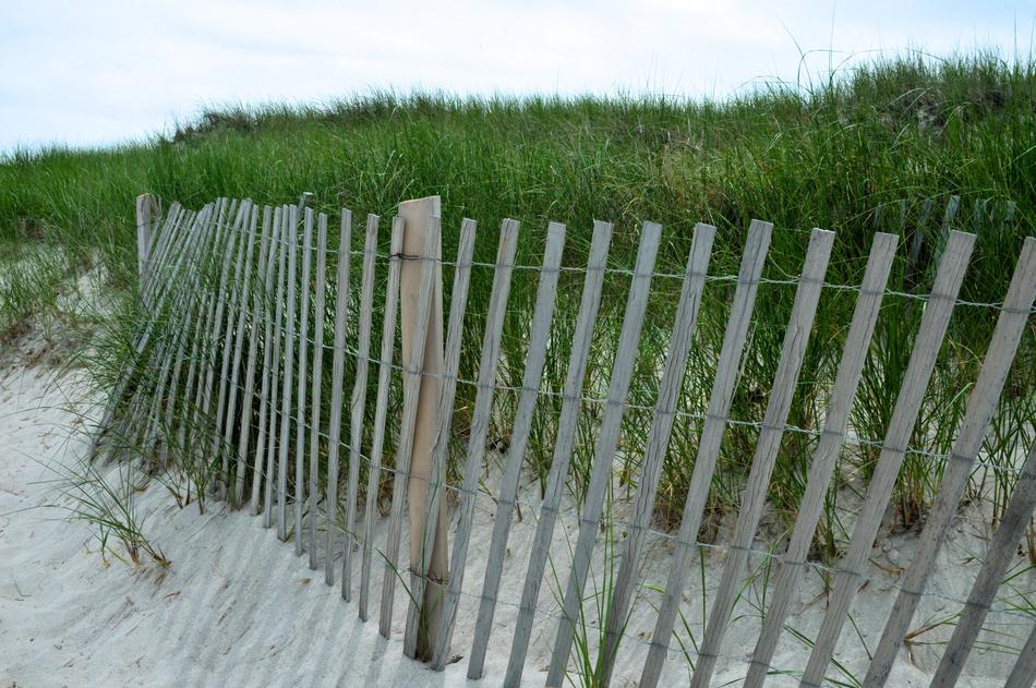 iron fence with green grass