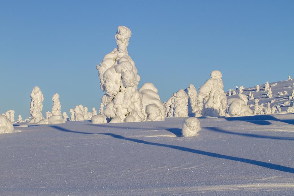 Finland Lapland Wintry Winter