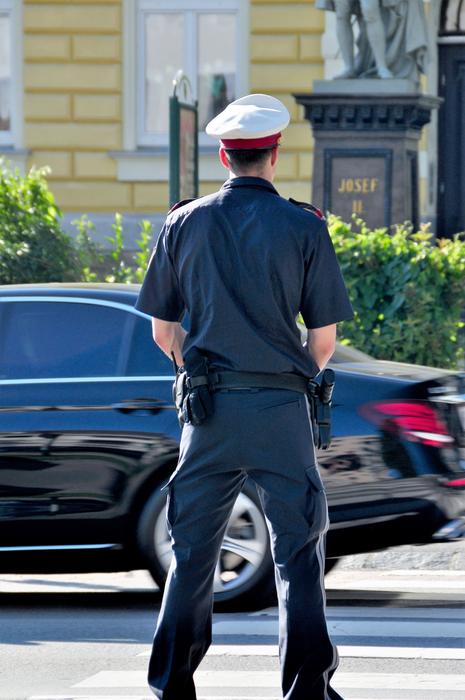 Police Cop Figure