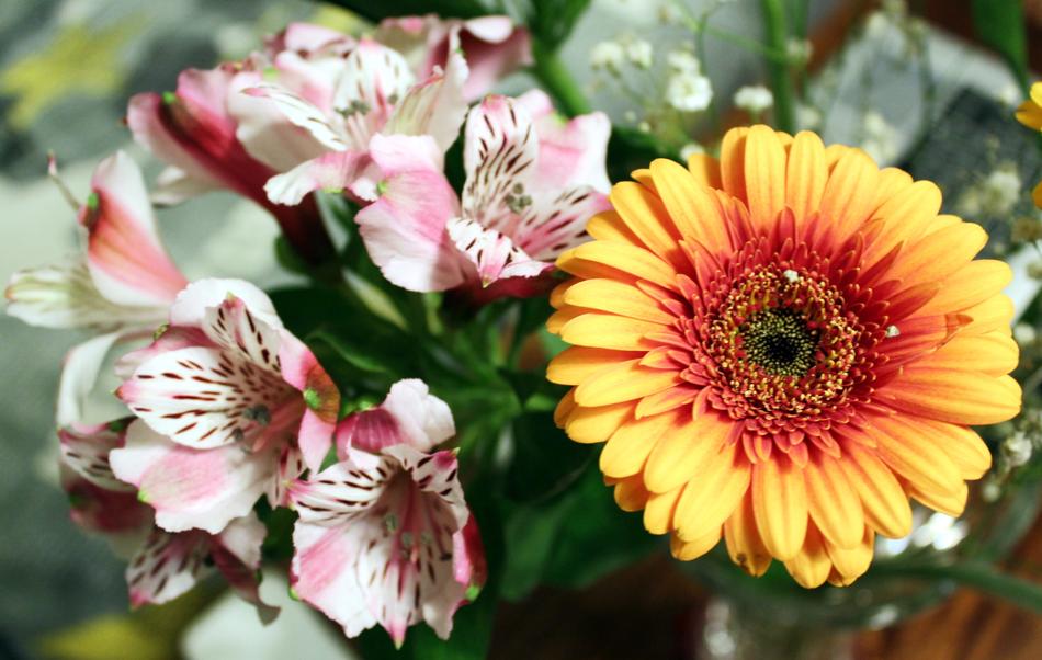 Flowers Bouquet Floral
