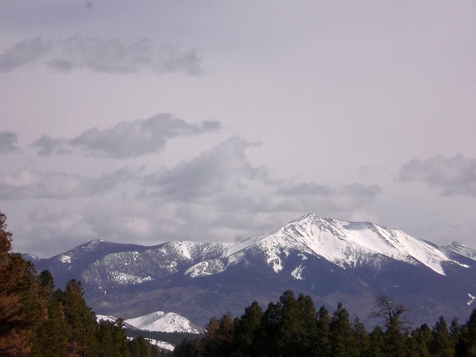 Arizona Rocky Mountain scenery