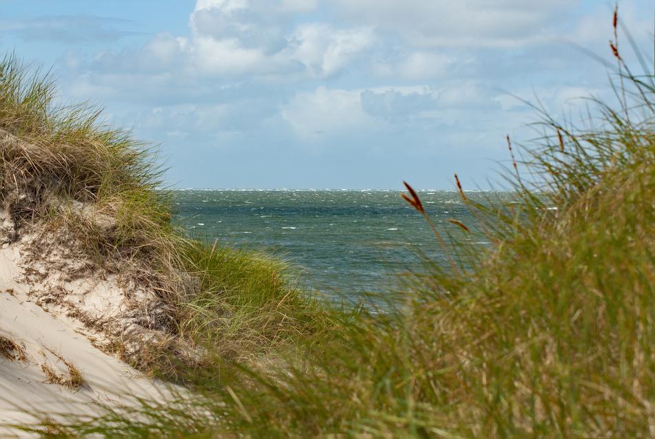 Dune Sea North