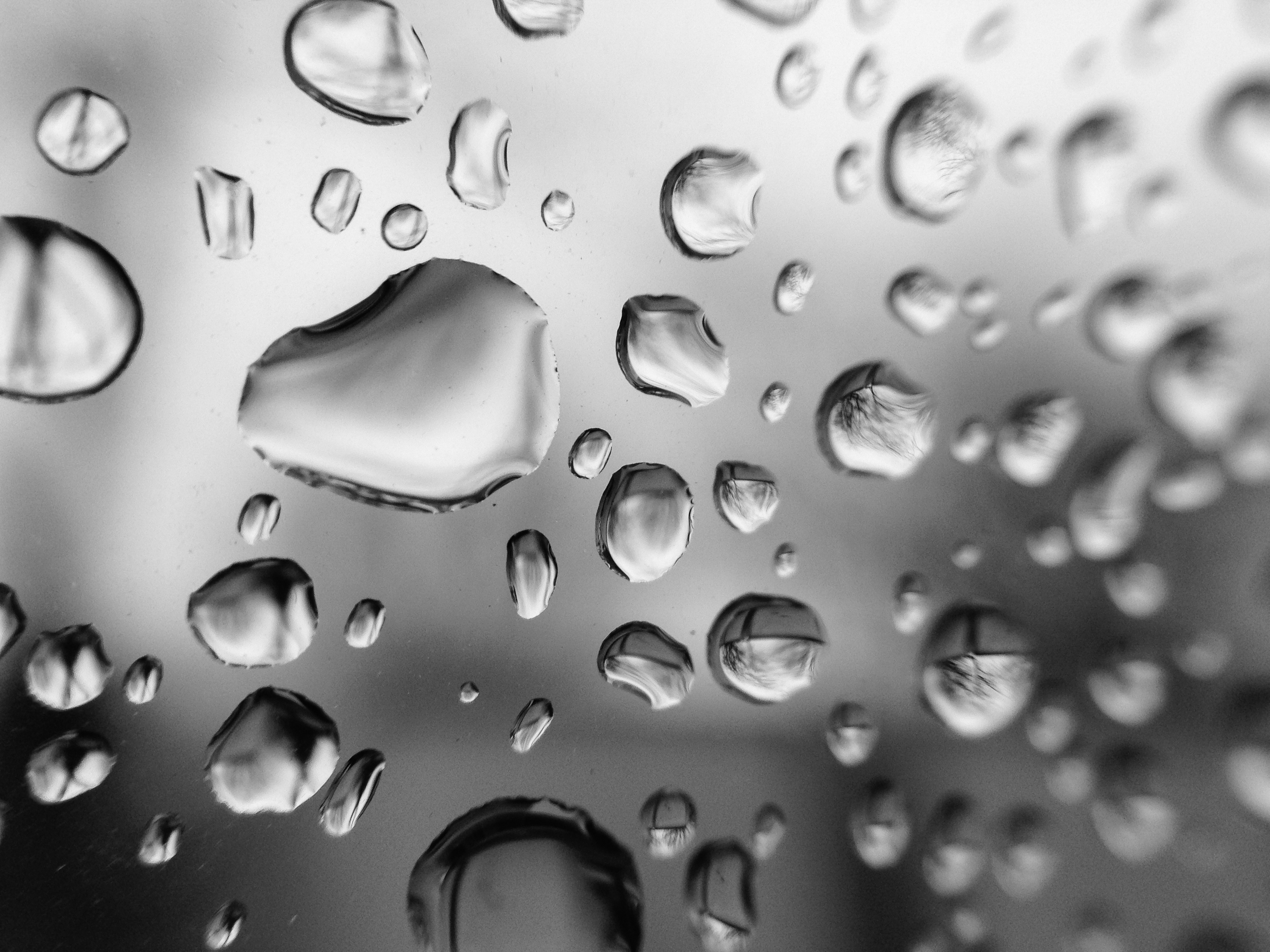 Water Drops Rain free image download