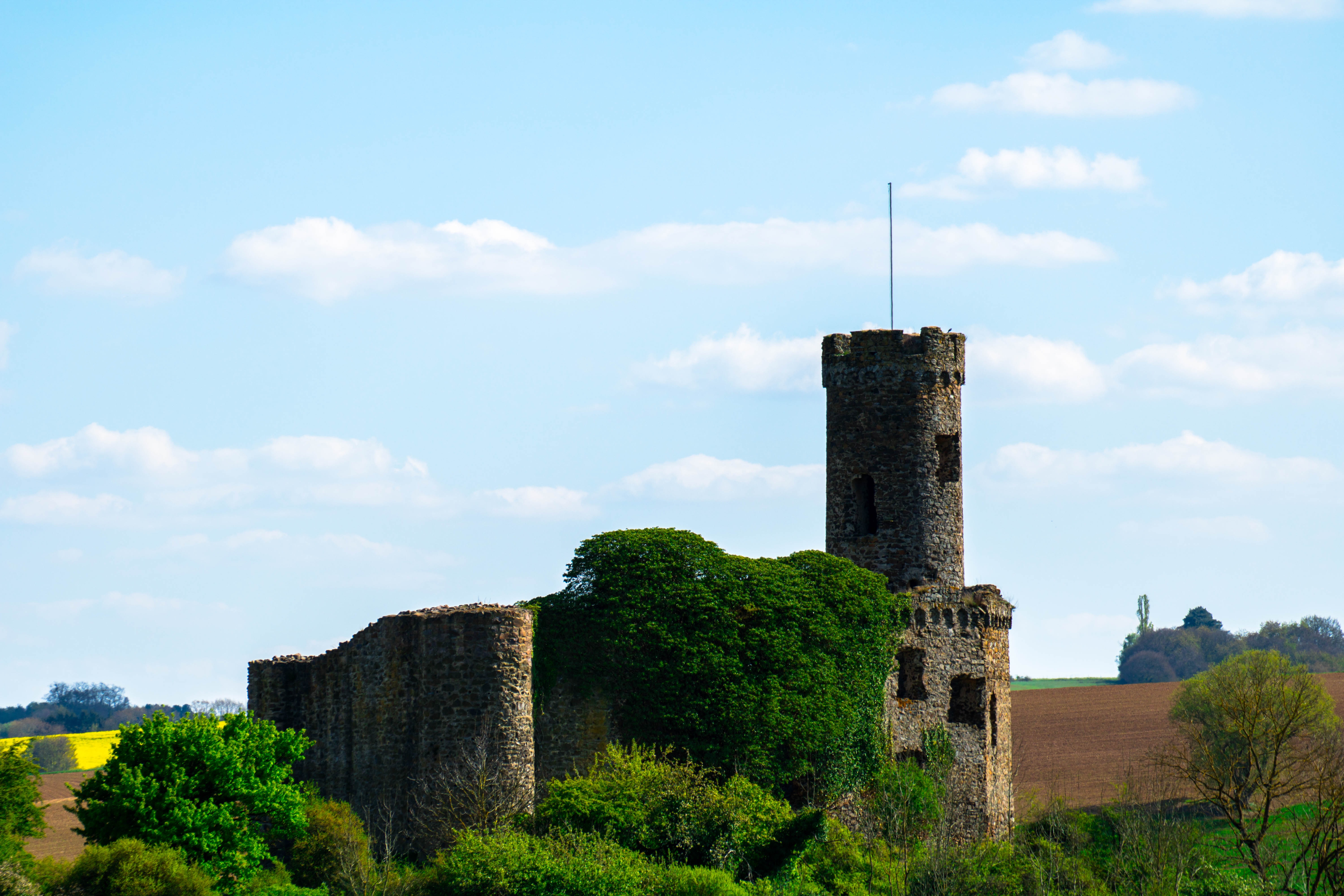 Полу замок. Burgh Wall Britain. Burgh Wall. Medieval nature.