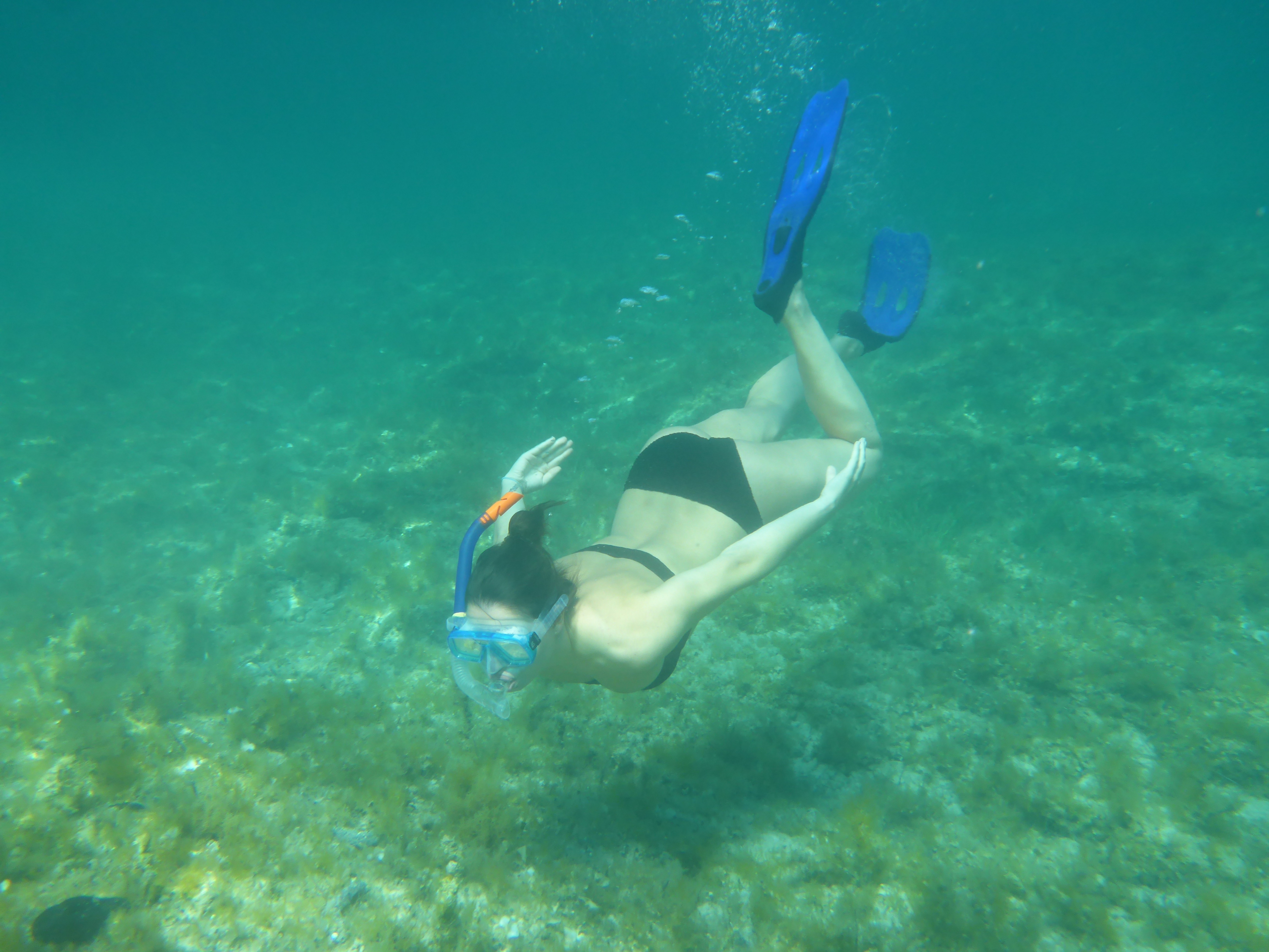 Muff Diving Snorkel