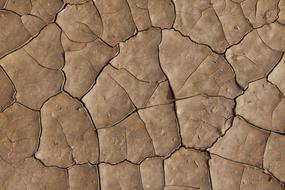 Earth Dry Quartered