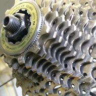 Gears Gear Race