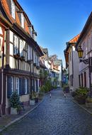 cityscape of frankfurt street