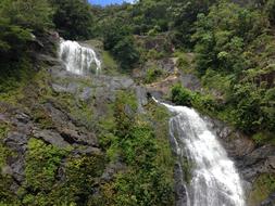Waterfall Cairns Rainforest