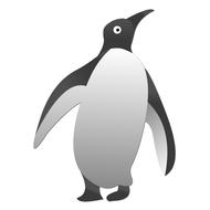 graphic penguin bird design drawing