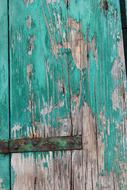 Wood Distressed Texture green old