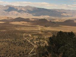 road through the wilderness