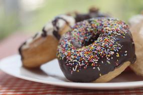 chocolate doughnuts with sprinkles