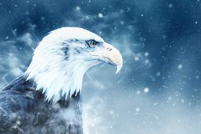 eagle and snow as a fantastic plot