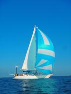 Sailing Spinnaker Cruising