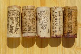 Corks Wine Winery