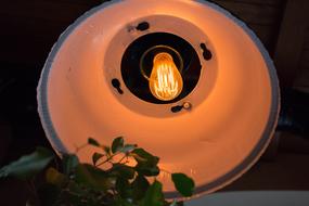 warm burning lamp