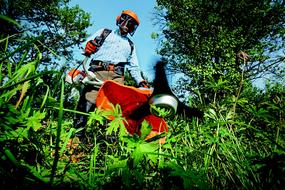 Garden Gardening person