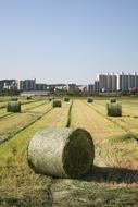 Farming Republic Of Korea Farm