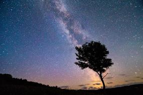 silhouette against the cosmic sky
