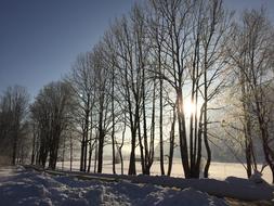 Winter Snow Wintry