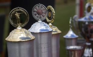 Cups Trophies Win