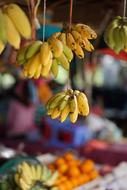 sale of tropical fruits