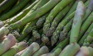fresh green asparagus long