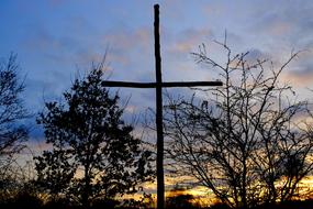 Cross tree Monument