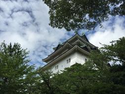 a chinese house near the trees