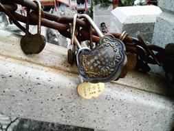 memorial locks on the fence