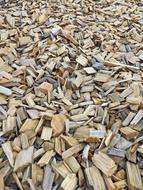 Wood pieces Bark Background