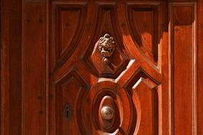 patterned wooden door