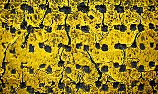 Yellow Grunge Pattern texture