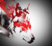 red black wolf stamp drawing