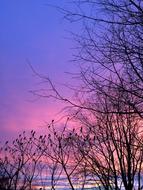 Sunset Sun